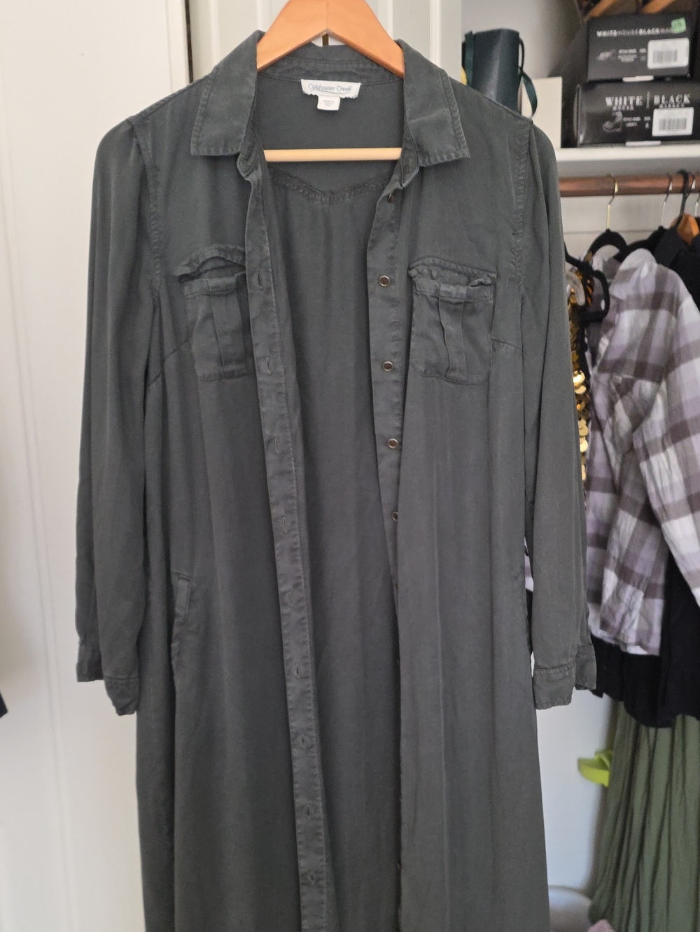 Long Sleeve Shirt Dress Would Be Cute With A Leather Belt I Have In My Closet !